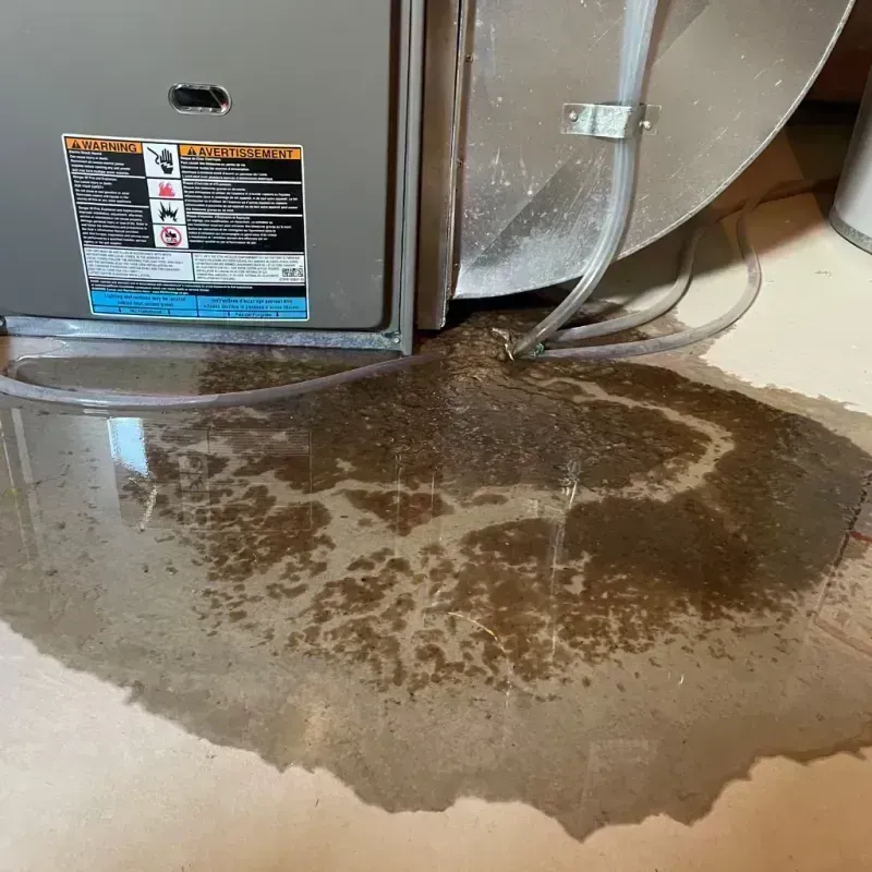 Appliance Leak Cleanup in Junction City, KY